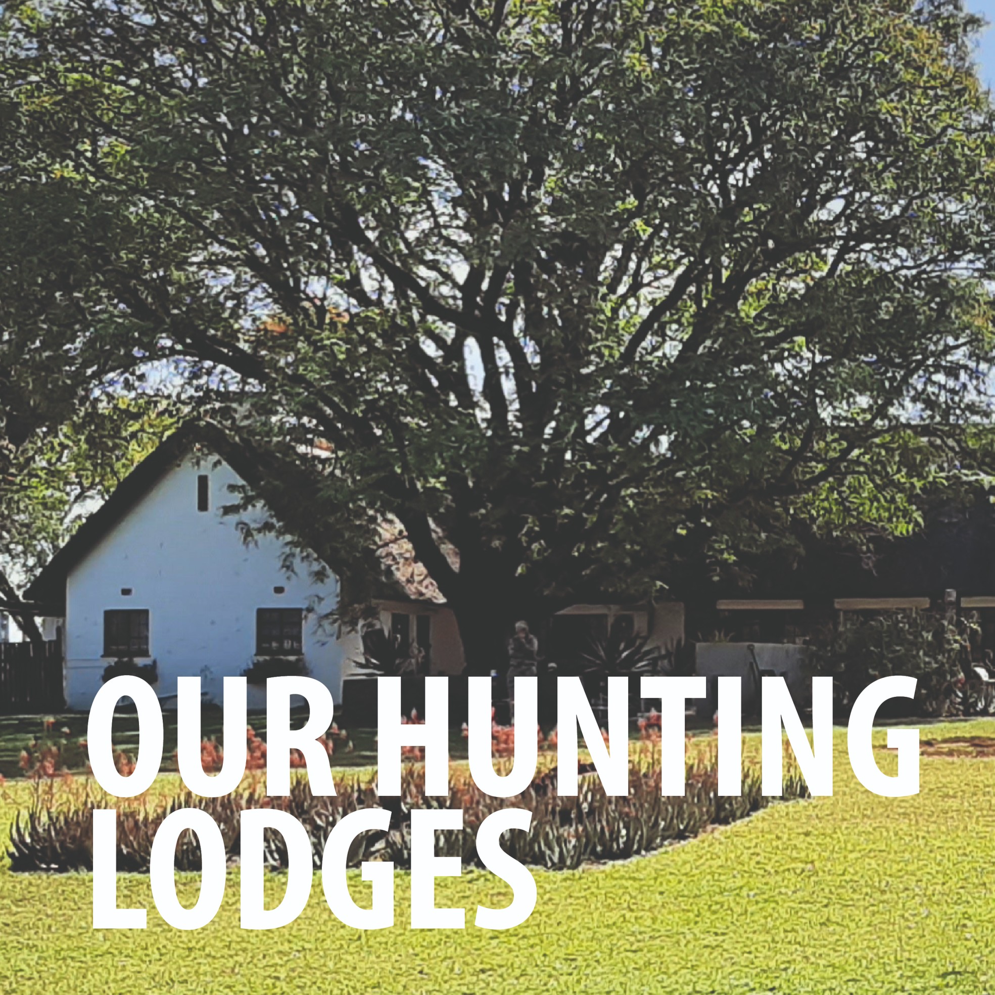 Lodges