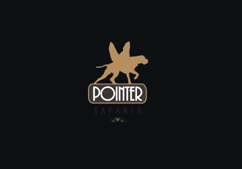 Pointer Safaris